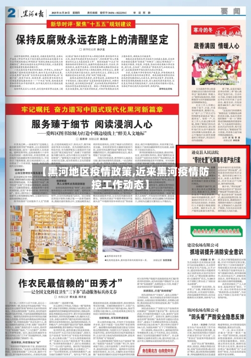 【黑河地区疫情政策,近来黑河疫情防控工作动态】-第3张图片