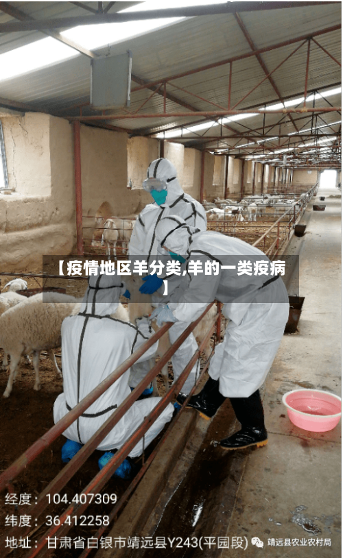 【疫情地区羊分类,羊的一类疫病】-第2张图片