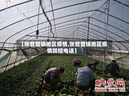 【张官营镇地区疫情,张官营镇地区疫情防控电话】-第2张图片