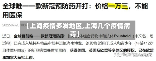 【上海疫情多发地区,上海几个疫情病毒】-第2张图片