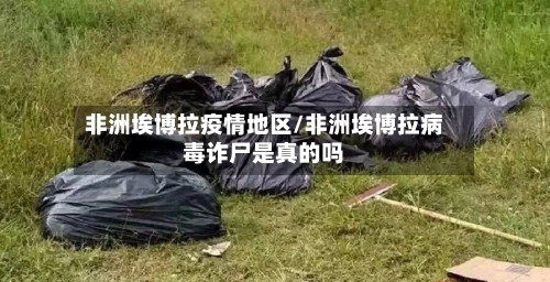 非洲埃博拉疫情地区/非洲埃博拉病毒诈尸是真的吗