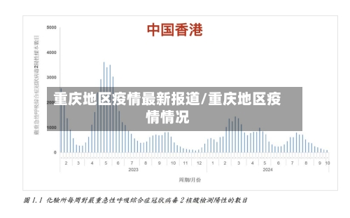 重庆地区疫情最新报道/重庆地区疫情情况