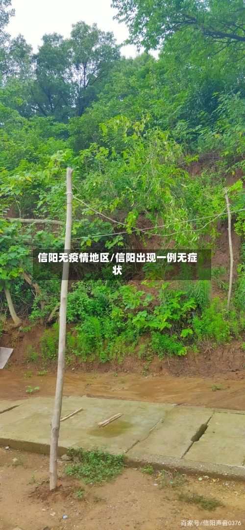 信阳无疫情地区/信阳出现一例无症状-第2张图片