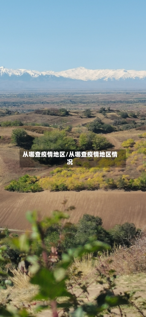 从哪查疫情地区/从哪查疫情地区情况-第2张图片