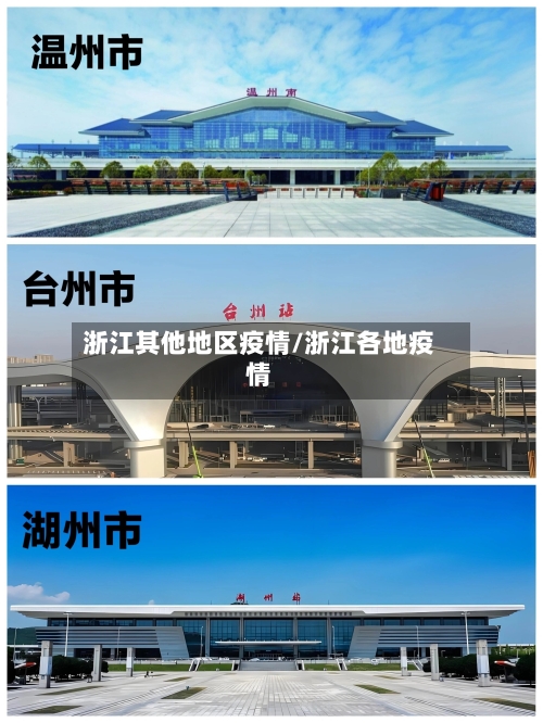 浙江其他地区疫情/浙江各地疫情