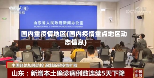 国内重疫情地区(国内疫情重点地区动态信息)-第2张图片