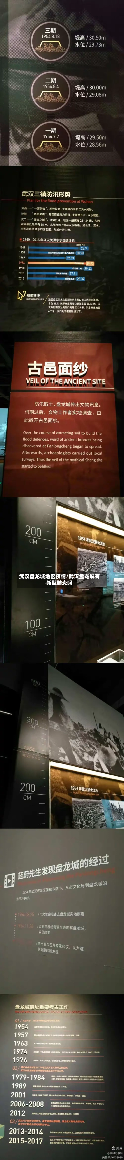 武汉盘龙城地区疫情/武汉盘龙城有新型肺炎吗-第2张图片