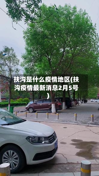 扶沟是什么疫情地区(扶沟疫情最新消息2月5号)