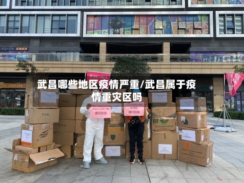 武昌哪些地区疫情严重/武昌属于疫情重灾区吗-第3张图片